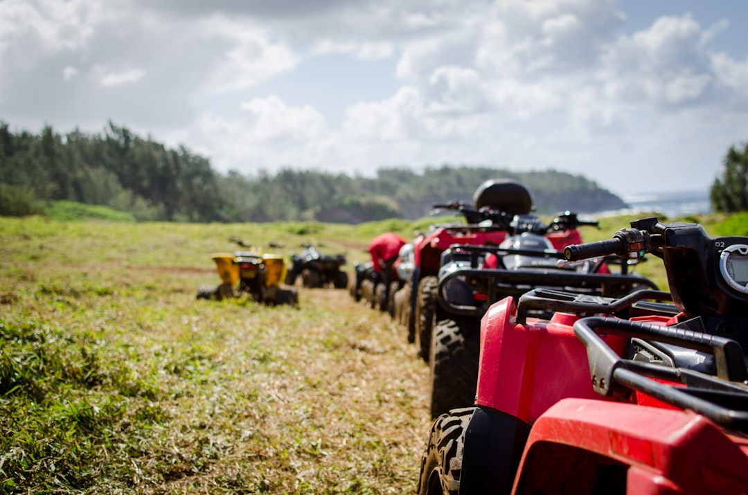 Conquering the Trails with Quadzilla: A Guide to Off-Roading Power